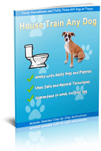How to Potty Train A Puppy