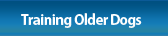 Housebreaking An Older Dog